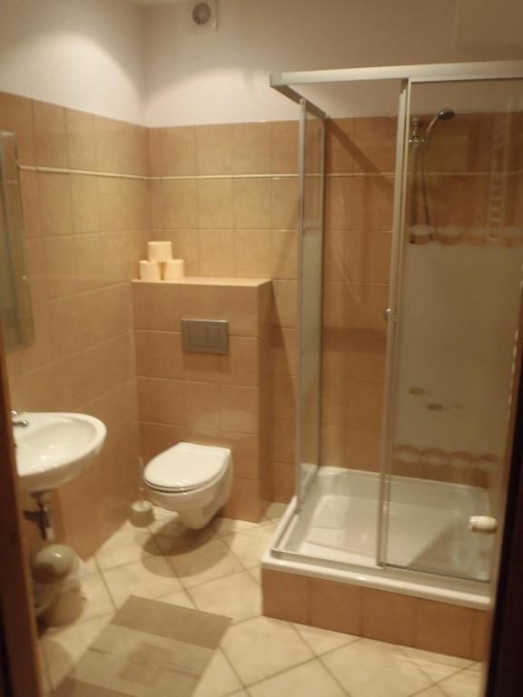 Апартаменты Villa Gorczańska Рабка-56